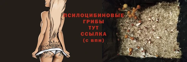 спиды Балахна